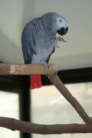 Un brin de toilette !